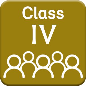 Class IV